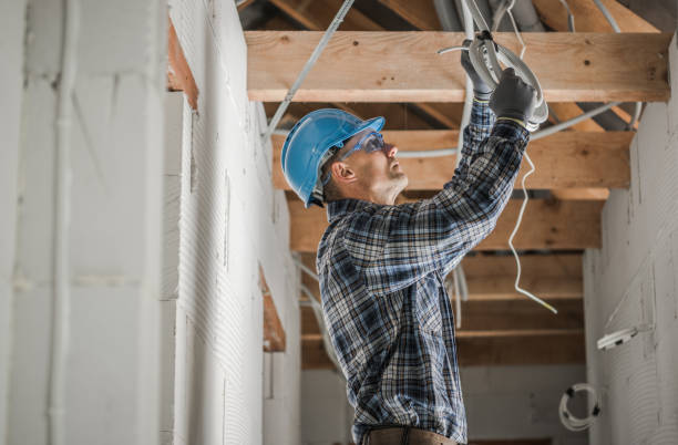 Best Electric Panel Repair  in Riceville, TN